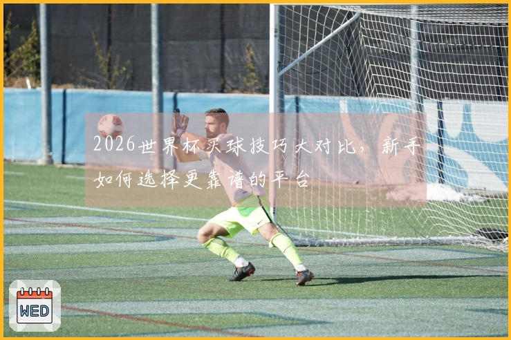 2026世界杯买球技巧大对比，新手如何选择更靠谱的平台