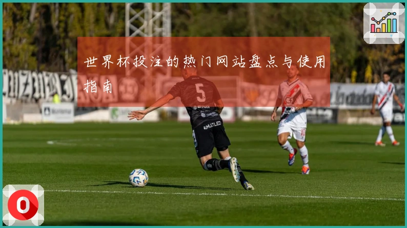 世界杯投注的热门网站盘点与使用指南