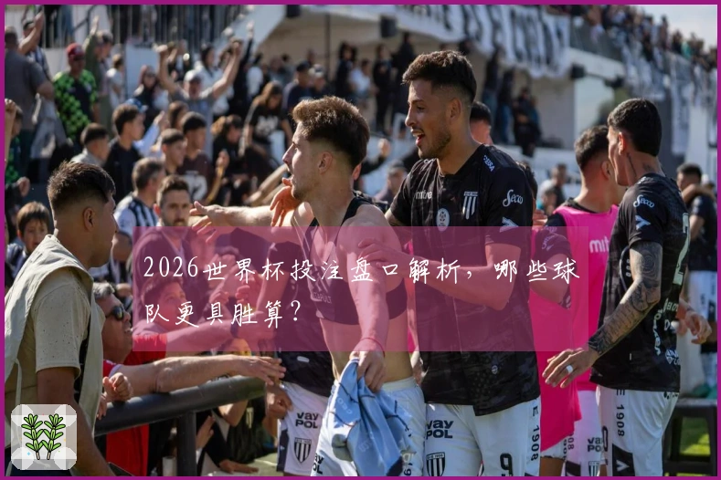 2026世界杯投注盘口解析，哪些球队更具胜算？